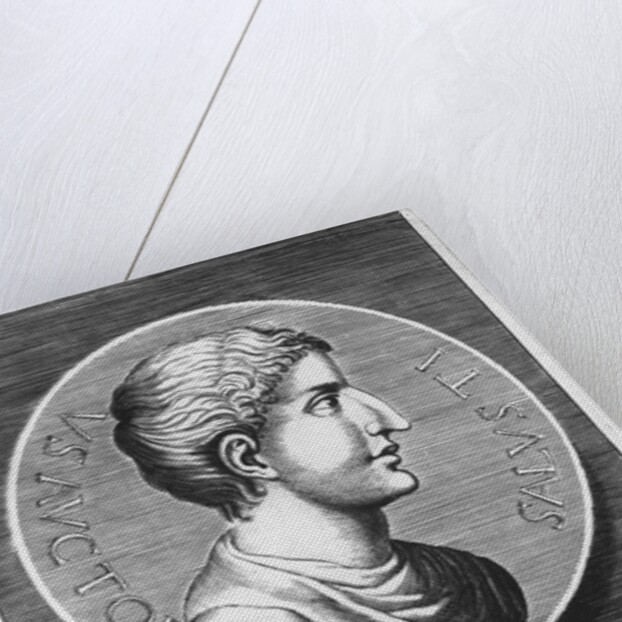 Gaius Sallustius Crispus, Sallust by French School