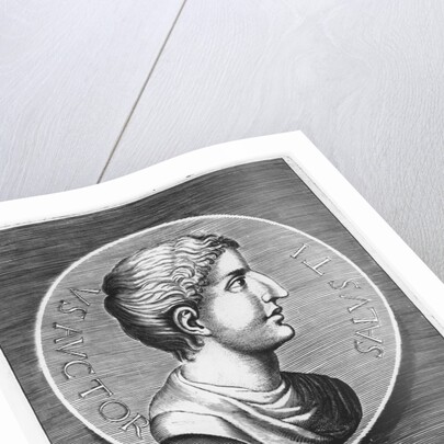 Gaius Sallustius Crispus, Sallust by French School