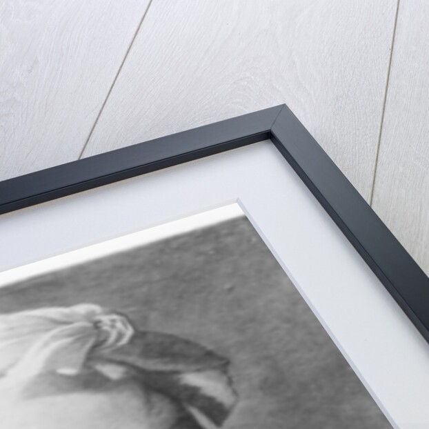 Portrait of Charles Augustin Sainte-Beuve by Barthelemy Eugene Demarquay