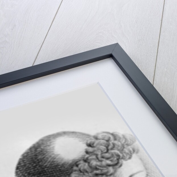 Portrait of Voltaire by Jean Huber