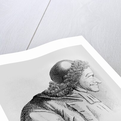 Portrait of Voltaire by Jean Huber