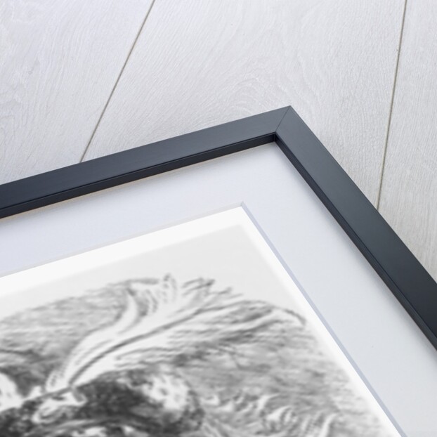 Illustration from 'Gargantua and Pantagruel', by François Rabelais by Gustave Dore