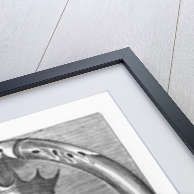 Alfred the Great by French School