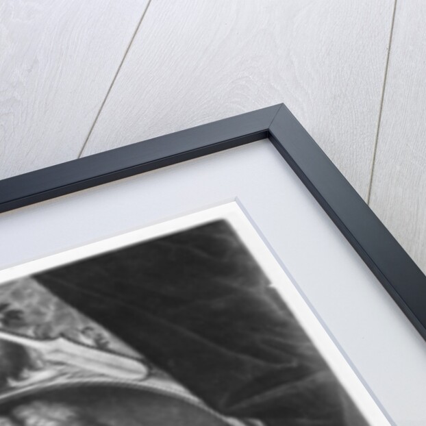 Charles VI, Holy Roman Emperor by Bernhard Vogel