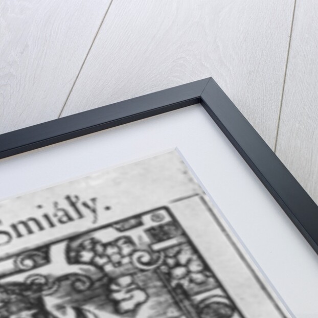 Boleslaw II the Generous by School Polish