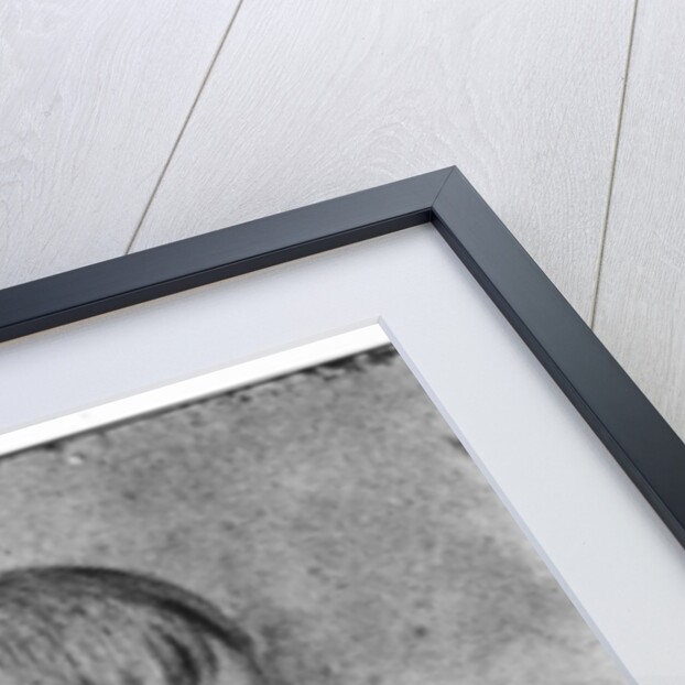 Napoleon Bonaparte, aged 16, 1785 by Pontornini Pontornini