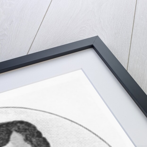 Jean-Pierre Boyer by French School