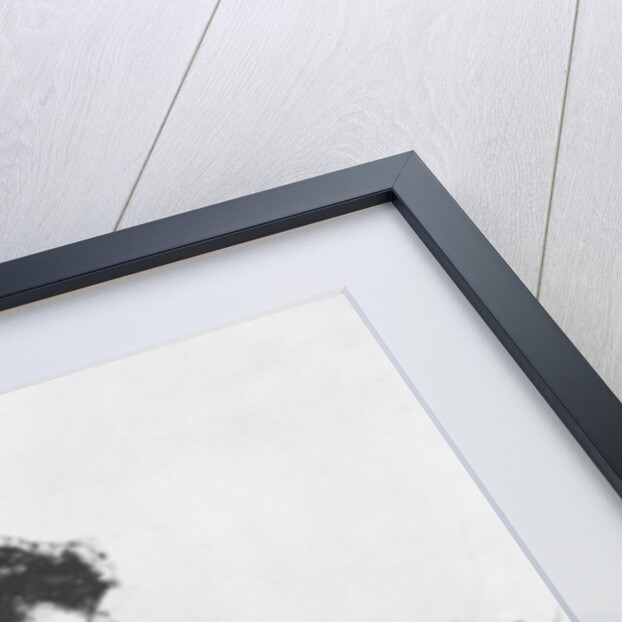 Savorgnan de Brazza, 1883 by Charles Giron