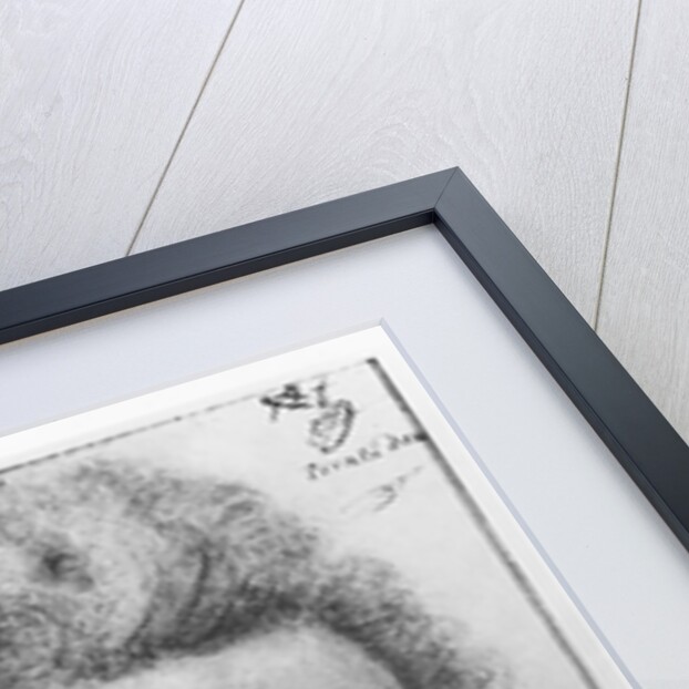 Louis de Clermont, seigneur de Bussy d'Amboise by French School