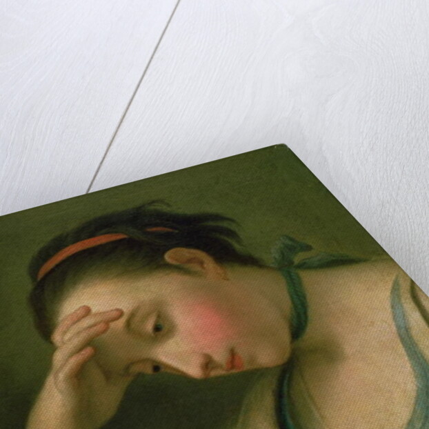 Portrait of a Woman by Pietro Antonio Rotari