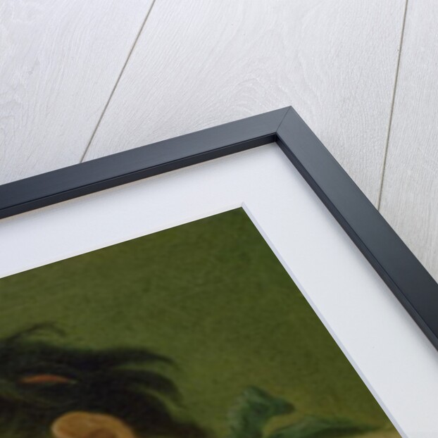 Portrait of a Woman by Pietro Antonio Rotari