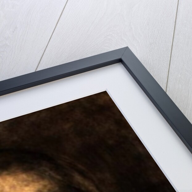 Edmond de Goncourt c.1892 by Eugene Carriere