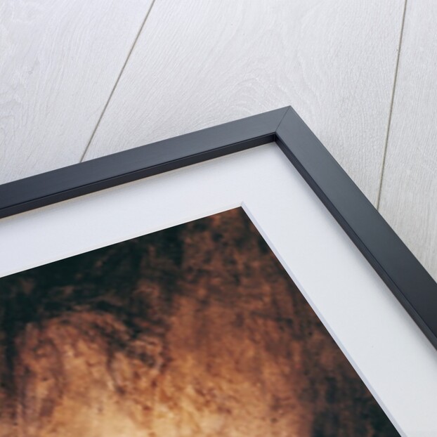 Two Jaguars from Peru by Antoine Louis Barye