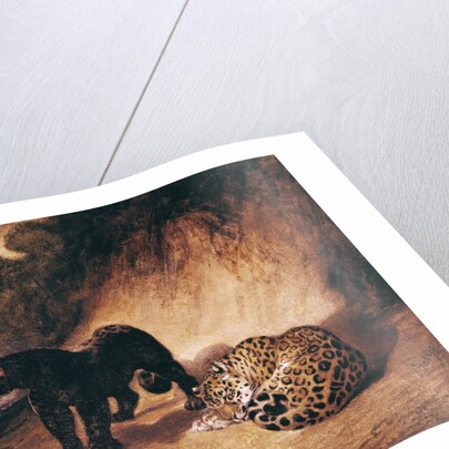 Two Jaguars from Peru by Antoine Louis Barye
