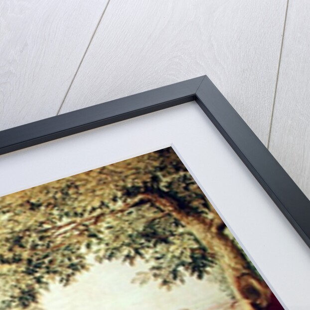 Entry of Louis XIV into Dunkirk, 2nd December 1662 by Charles Le Brun