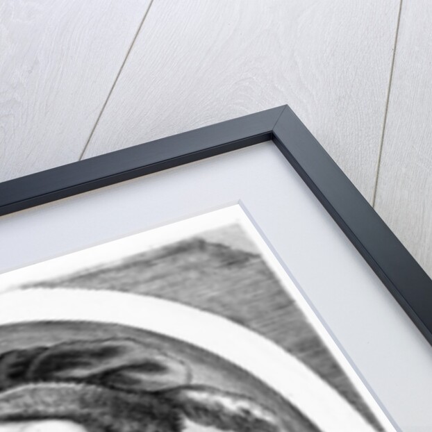 Francois-Christophe Frangipane by French School