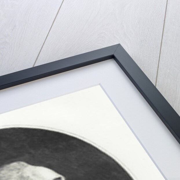 Louis-Marie Stanislas Fréron by Francois Bonneville