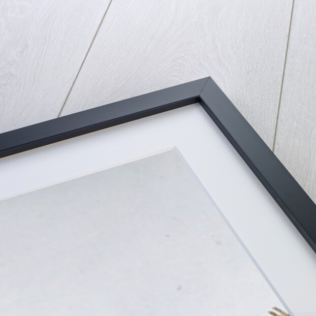 Venetian Wax Refinery by Jan van Grevenbroeck