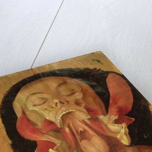 Anatomical drawing of the head by Hieronymus Fabricius ab Aquapendente