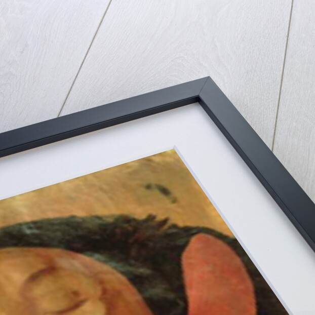 Anatomical drawing of the head by Hieronymus Fabricius ab Aquapendente