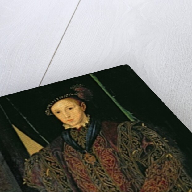 Edward VI by Guillaume Scrots