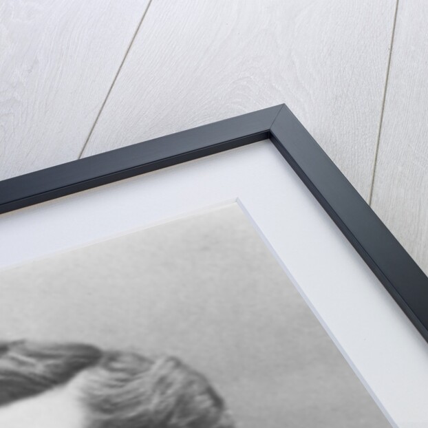 Portrait of Édouard Pailleron by Eugene Pirou