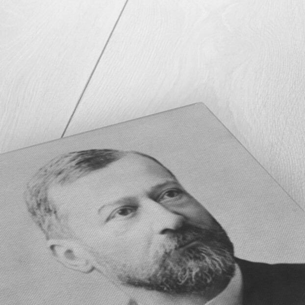 Portrait of Georges Pallain by Eugene Pirou