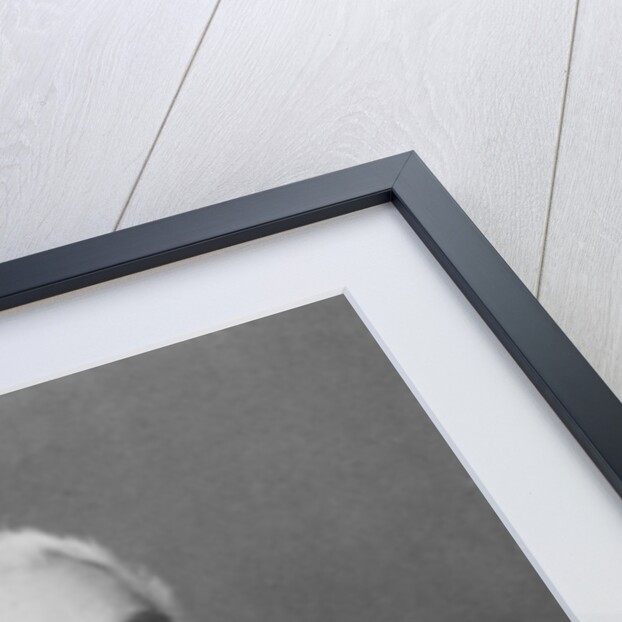 Portrait of Marie Louis Esquirou de Parieu by Alphonse Liebert