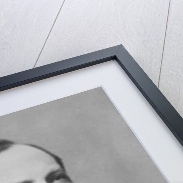 Portrait of Louis Pasteur by Pierre Petit