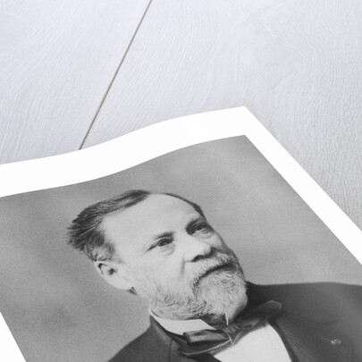 Portrait of Louis Pasteur by Pierre Petit