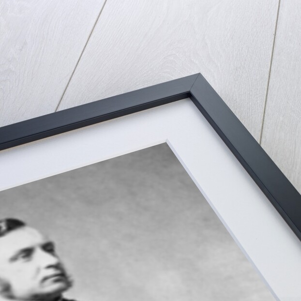 Portrait of Ernest Picard by Pierre Petit