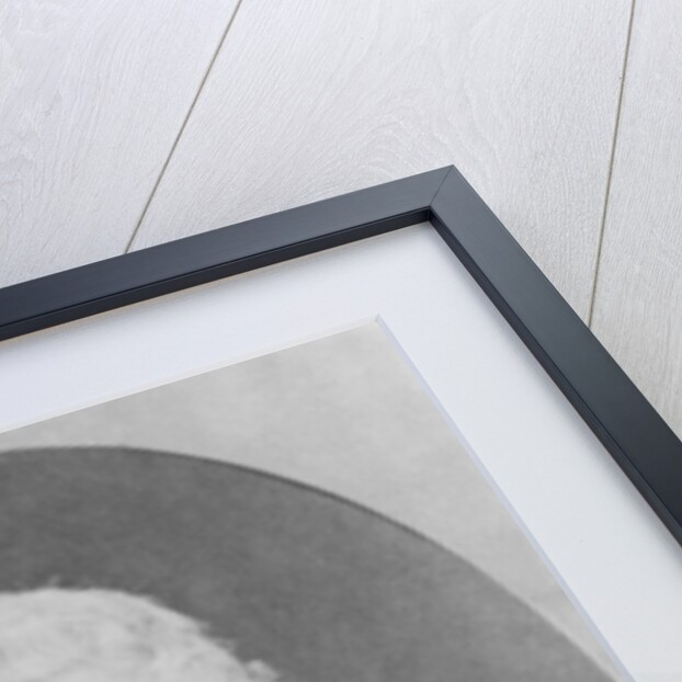 Portrait of Nicolas Auguste Pomel by French Photographer