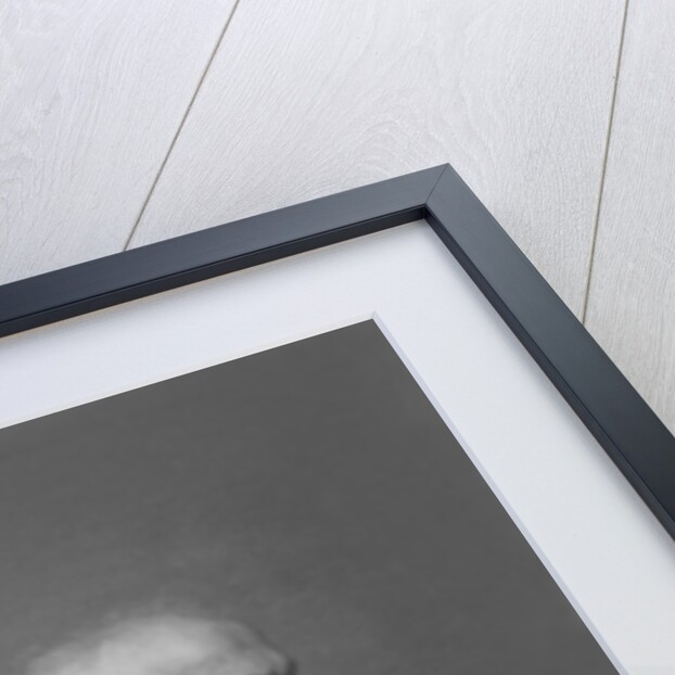 Portrait of Joseph Pothier by French Photographer