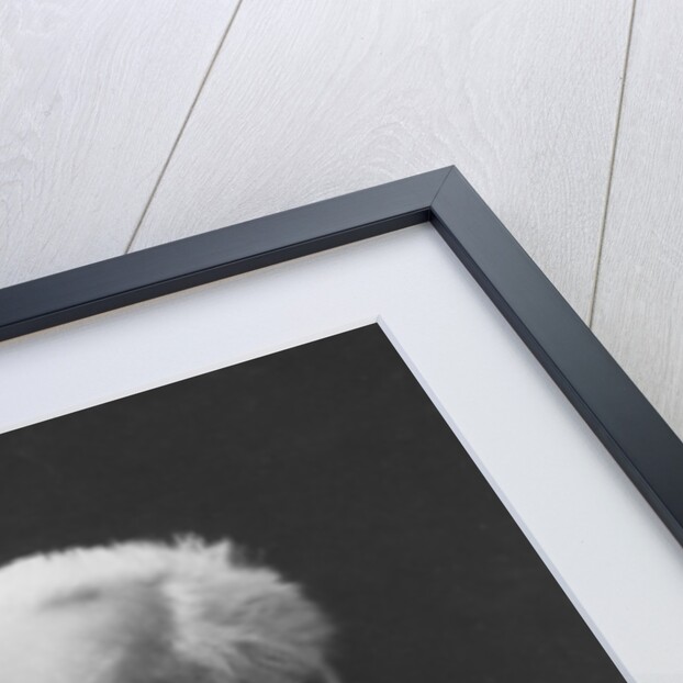 Portrait of Frédéric Alphonse Charles Prevet by Alphonse Liebert