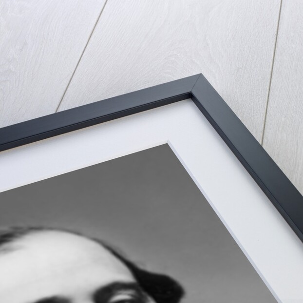 Portrait of Lucien Anatole Prevost-Paradol by Pierre Petit