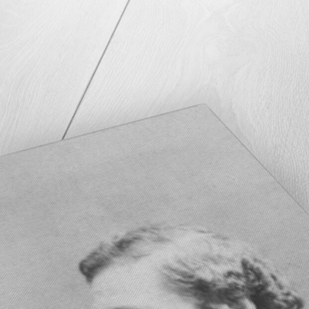 Portrait of Felix Pyat by Emile Robert