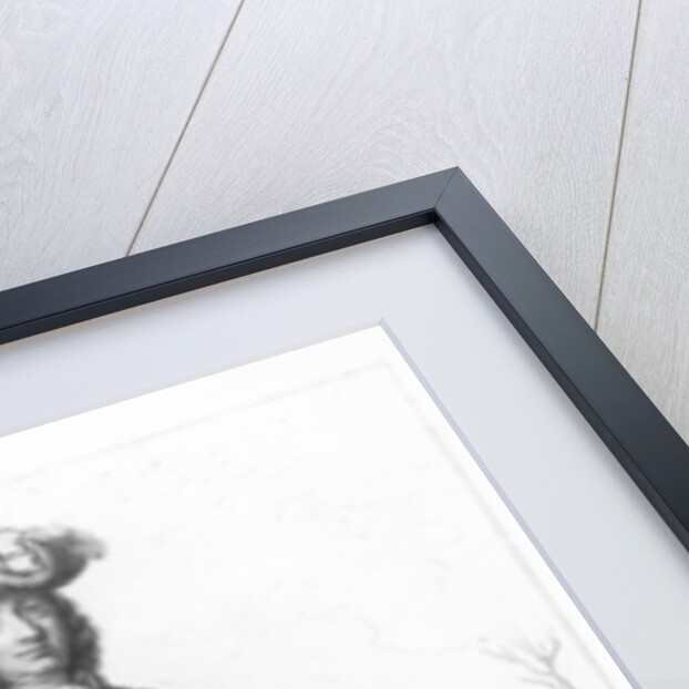 Henry I, Duke of Harcourt by A.J.A. Migneret