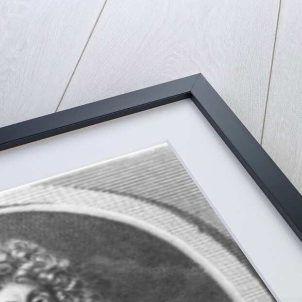 James II of England by Sebastien Pinssio