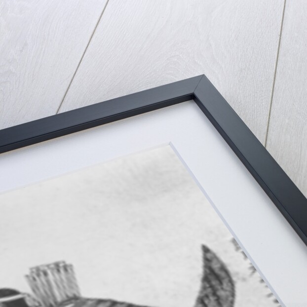 Jingo, Empress of Japan by School Japanese