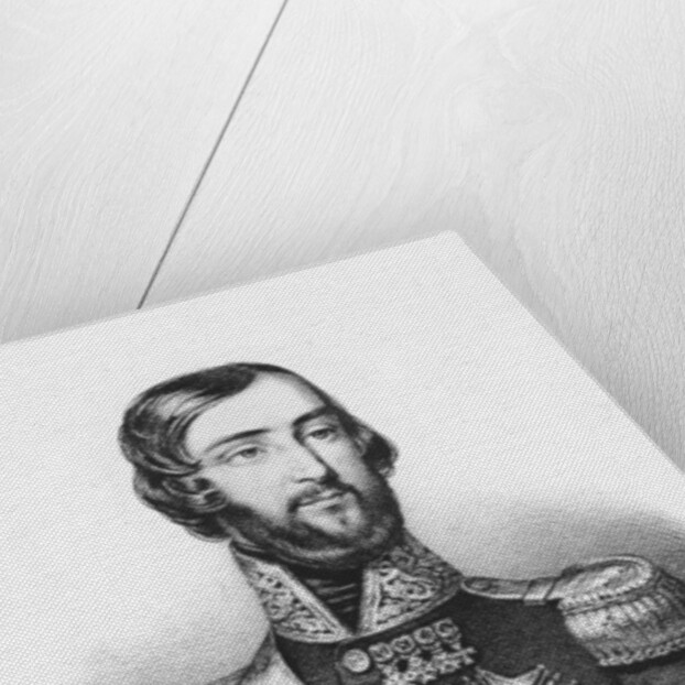 Francois d'Orléans, Prince of Joinville by French School