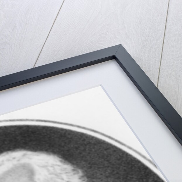 Paul Kray of Krajova by Austrian School