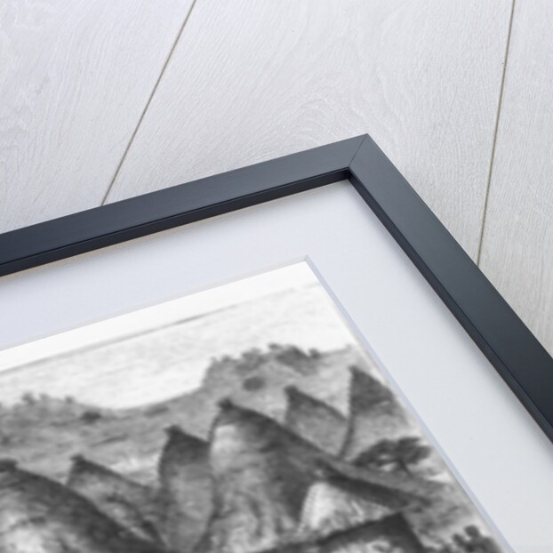 David Livingstone welcomed in a village in the Great Lakes region of Central Africa, 1874 by French School