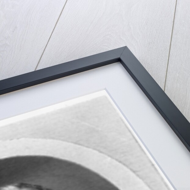 Louis XV, King of France and Navarre by French School