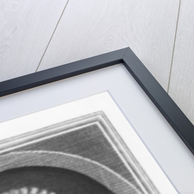 Roland Michel Barrin, Marquis de la Galissonière by Noel Hubert