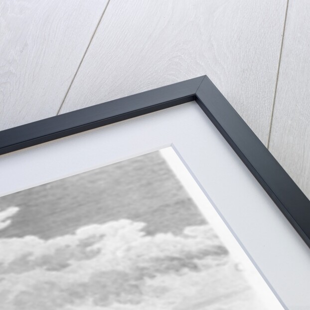 The frigates of La Perouse at the island of Maui by French School