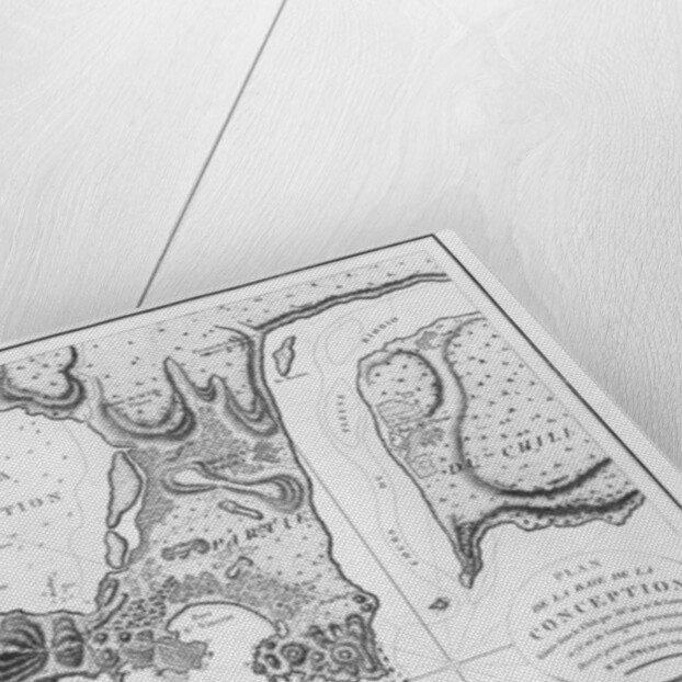 The Bay of Concepcion, Chile by French School