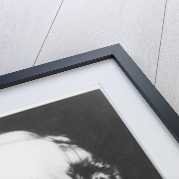 General Lee by French School