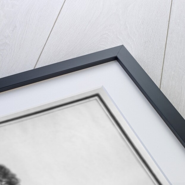 Claude Le Peletier by Nicolas Bonnart