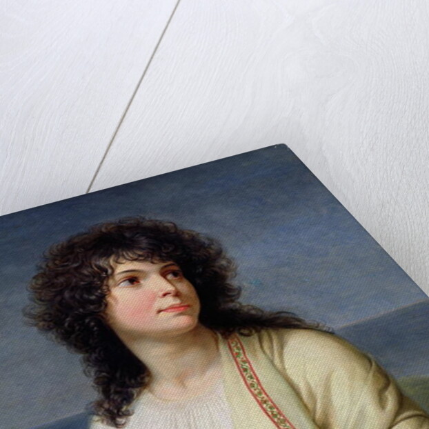 Madame Hamelin by Andrea the Elder Appiani