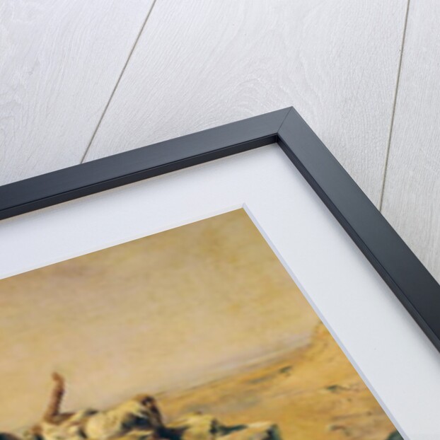 The Land of Thirst, c.1869 by Eugene Fromentin